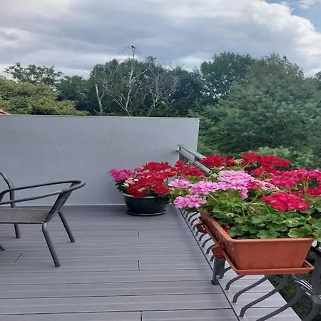 Comfortable In Apartment Sopot