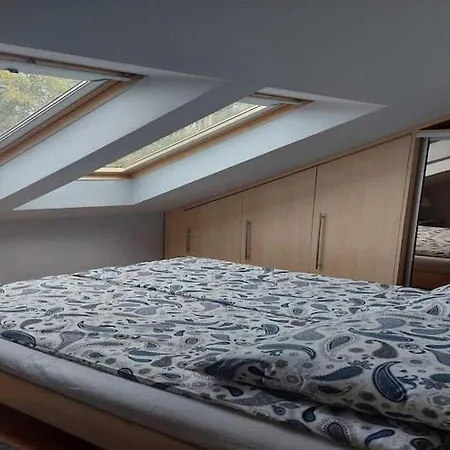 Apartment Comfortable In *